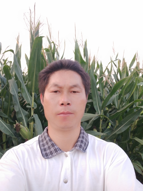 四海游龙的第一张照片--乌鲁木齐相亲服务中心