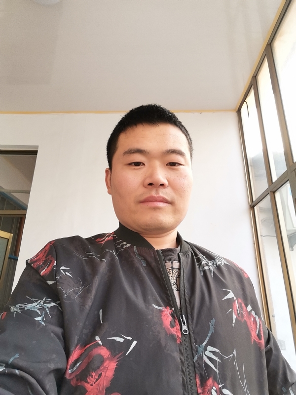 会飞的猪的第一张照片--乌鲁木齐相亲服务中心