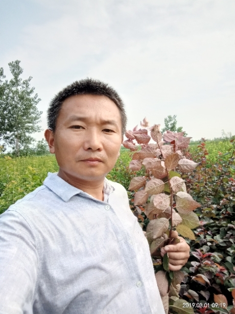 孩子爸的第一张照片--乌鲁木齐相亲服务中心