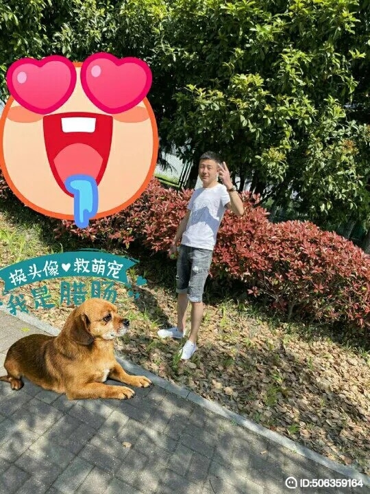 我若不坚强谁替我勇敢的第五张照片--乌鲁木齐相亲服务中心