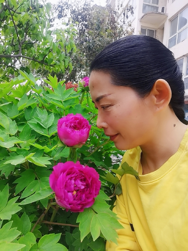 厚德载物的第一张照片--乌鲁木齐相亲服务中心
