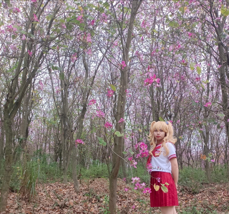暮秋的第三张照片--乌鲁木齐相亲服务中心